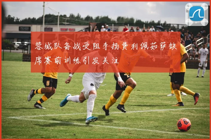 蓉城队备战受阻李扬费利佩茹萨缺席赛前训练引发关注
