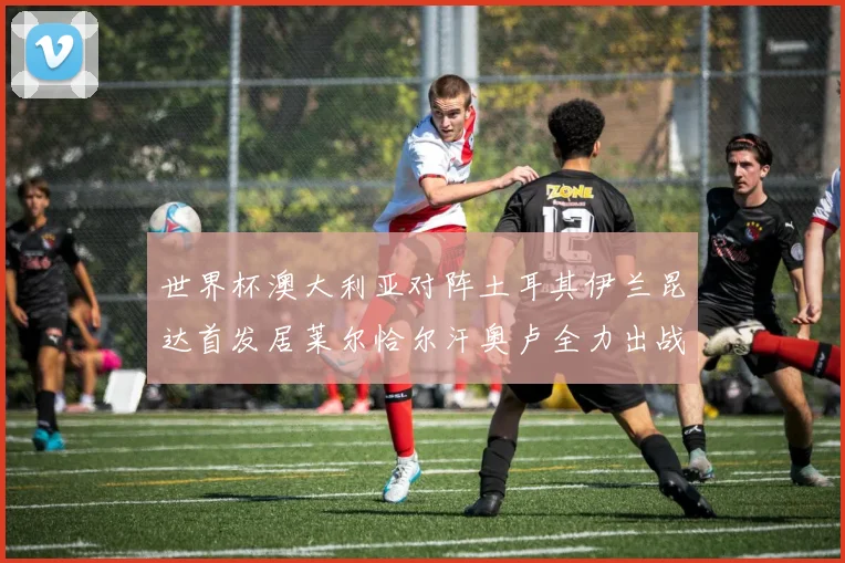 世界杯澳大利亚对阵土耳其伊兰昆达首发居莱尔恰尔汗奥卢全力出战